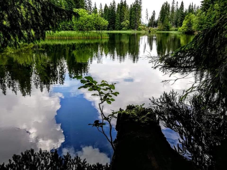 Apartmany Minata Liptovský Mikuláš Exteriör bild
